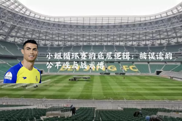小组循环赛的底层逻辑：被误读的公平性与战术博弈